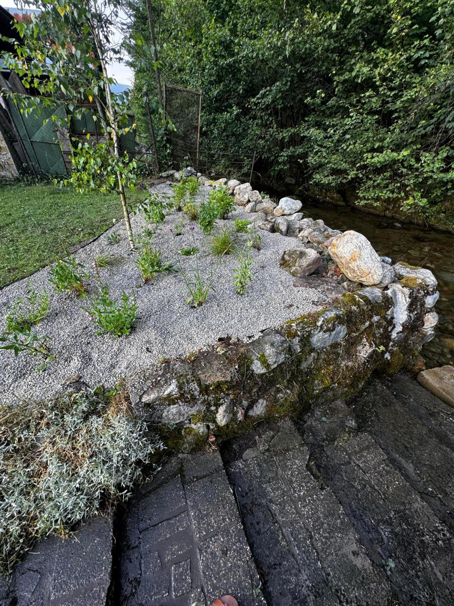 Apartmány Elli Mýto pod Ďumbierom Exterior foto